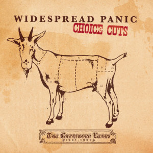 收聽Widespread Panic的Blackout Blues歌詞歌曲