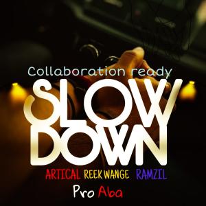 Listen to Slow Down (feat. Artical & Ramzil) song with lyrics from Reek wange