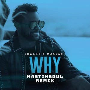 Shaggy的專輯Why (Mastiksoul Remix)