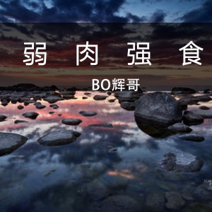 收听辉哥的弱肉强食 (粤)歌词歌曲