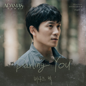 Bernard Park的專輯ADAMAS, Pt. 3 (Original Television Soundtrack)