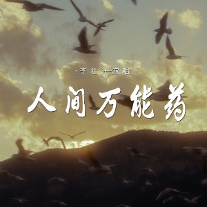 Album 人间万能药 from 李壮洋