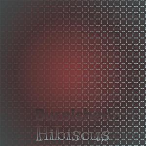 Various Artists的專輯Burnished Hibiscus