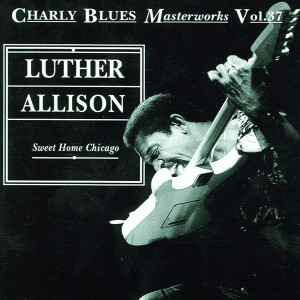 ดาวน์โหลดและฟังเพลง You Don't Love Me - Live พร้อมเนื้อเพลงจาก Luther Allison