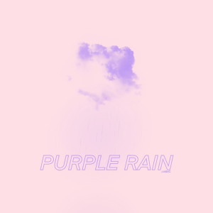 Album Puprle Rain from 