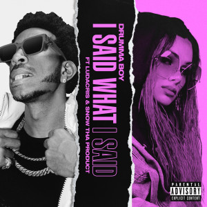 Listen to I Said What I Said (Explicit) song with lyrics from Drumma Boy