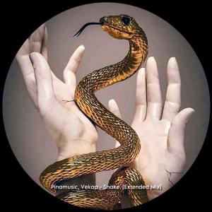 收聽PINAMUSIC的Snake (feat. Vekap) (Original Mix)歌詞歌曲