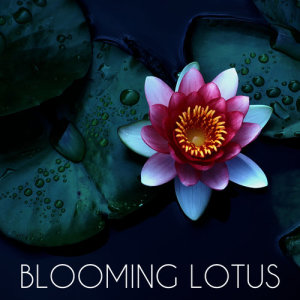 Musica Relajante的專輯Blooming Lotus