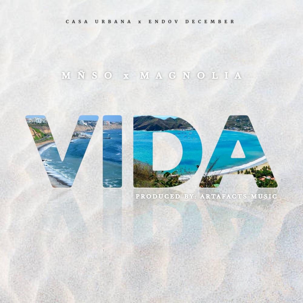 VIDA