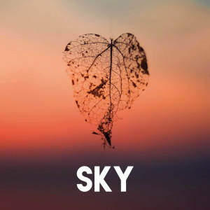 收聽CDM Project的Sky歌詞歌曲