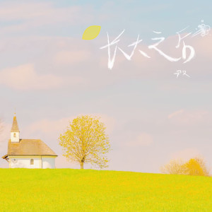 Album 长大之后 from 尹又