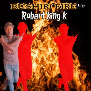 ดาวน์โหลดและฟังเพลง Tshwara Nyana พร้อมเนื้อเพลงจาก Robert King K