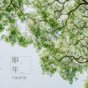 Listen to 那年 song with lyrics from 万能和弦