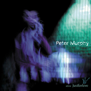 收聽Peter Murphy的Cuts You Up (Live)歌詞歌曲
