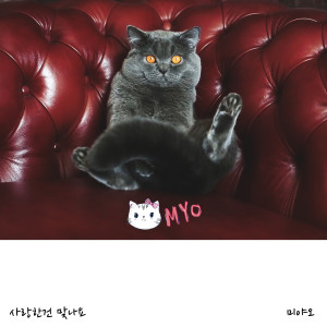 Listen to 사랑한 건 맞나요 song with lyrics from 미야오