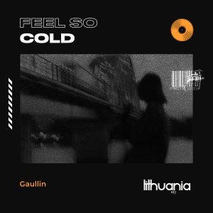 Gaullin的專輯Feel so Cold (Explicit)