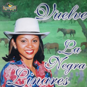 Listen to La Tristeza de un Guayabo song with lyrics from La Negra Linares