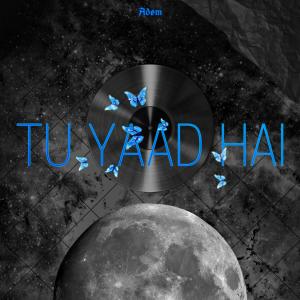 Adøm的專輯Tu Yaad Hai