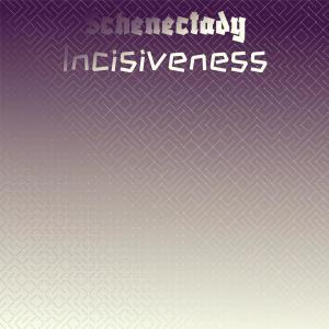Dengarkan Schenectady Incisiveness lagu dari Loke Ason dengan lirik