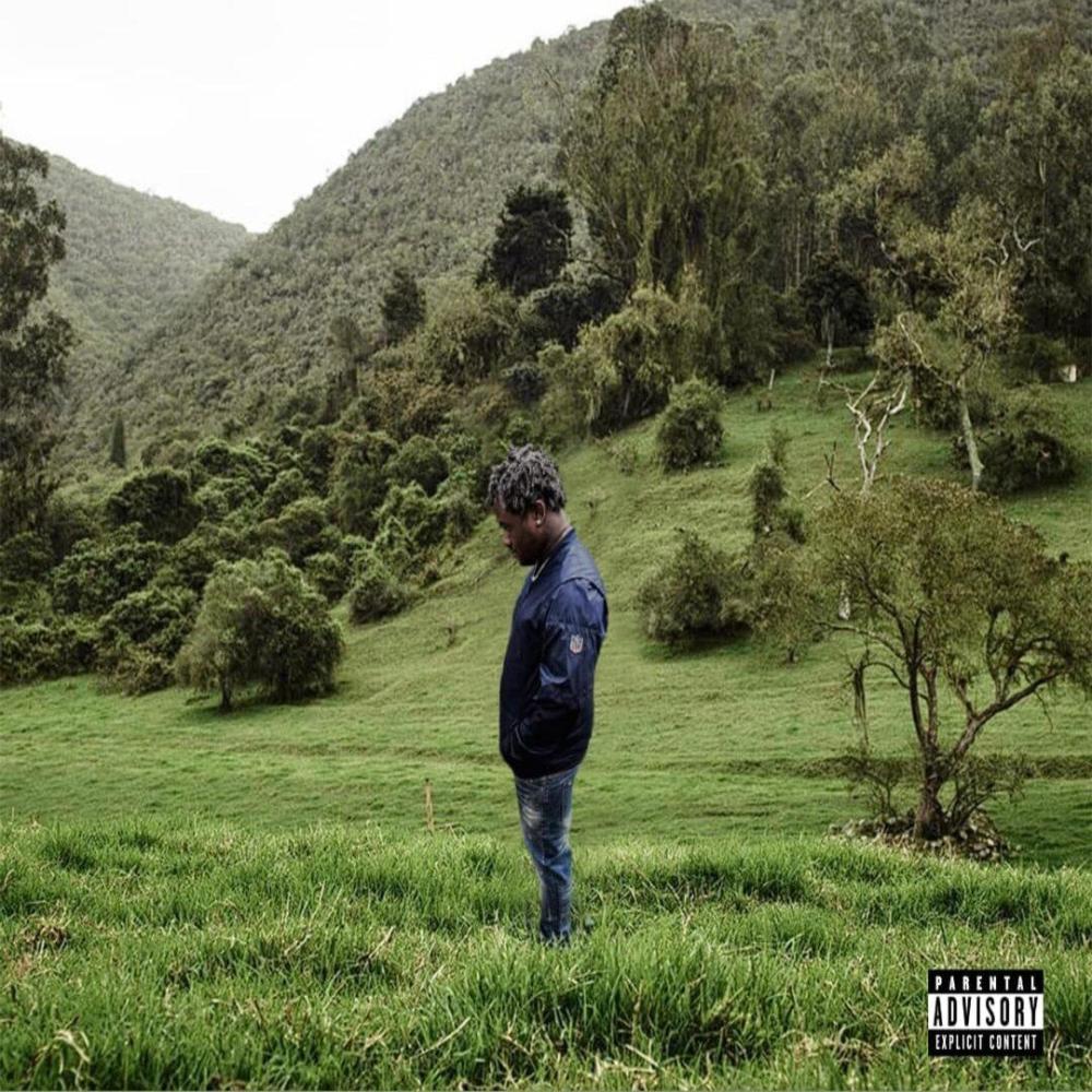 Hacienda Nápoles (Explicit)