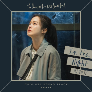 收听朴宰正的In The Night (Inst.)歌词歌曲