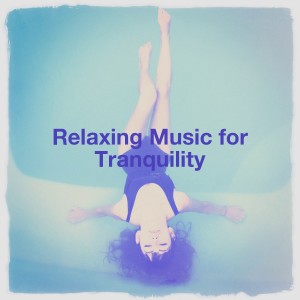 Relaxing Music for Tranquility dari Zen Garden