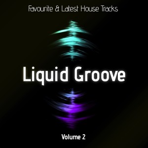 Various Artists的專輯Liquid Groove, Vol. 2