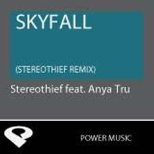 Skyfall (Stereothief Remix Radio Edits)