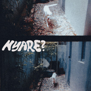 Album Nyare? from Sandwich