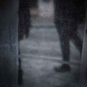 Album Walking in Rain Sound for Mindfulness and Relaxation from Forest Sounds