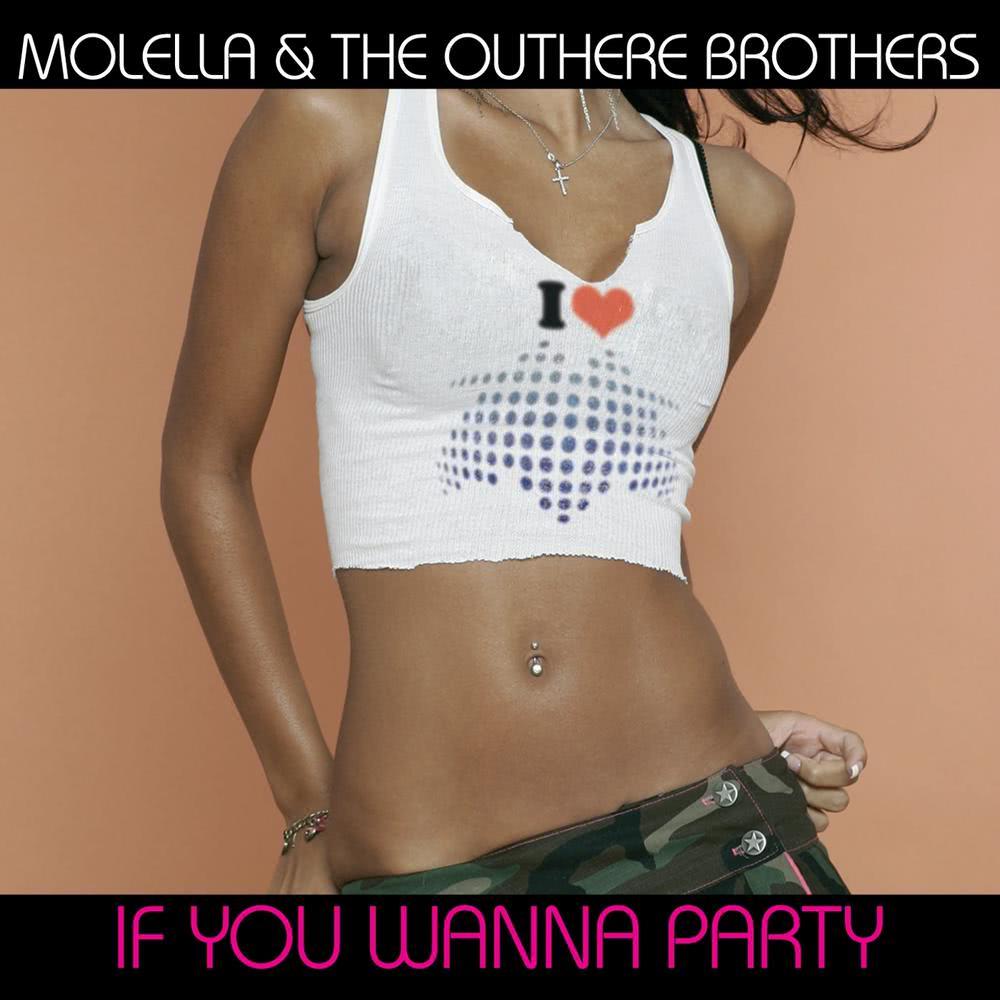 If You Wanna Party (Aladyn Mix)
