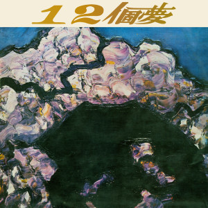 美黛的专辑12个梦