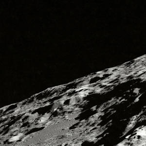 Lupi的專輯Dysmorphia (Impromptu 003)