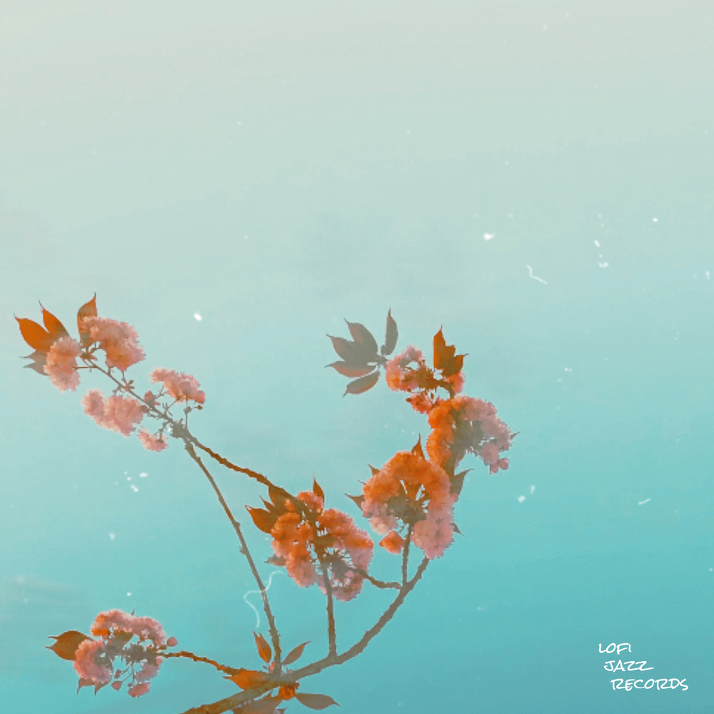 Bloom (其他)