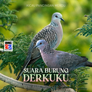Album Suara Burung Derkuku (Kicau Pancingan Merdu) from Aneka Burung IMC