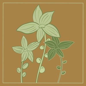 Listen to Mind Garden song with lyrics from Lawrence Walther