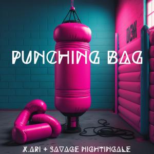 X. ARI的专辑Punching Bag