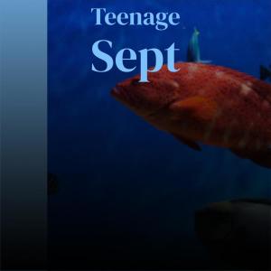 Listen to Teenage Sept song with lyrics from Solomos Hadzic