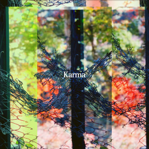 Album Karma from 