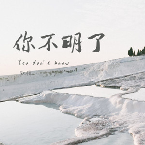 Album 你不明了 from 歐恆