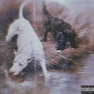 Akash Bhai的专辑Big Dawgs (Explicit)
