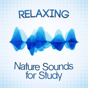 ดาวน์โหลดและฟังเพลง Meditation พร้อมเนื้อเพลงจาก Anjey Satori