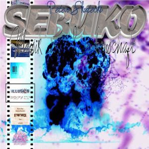 Sebus的专辑Retro Music 2009