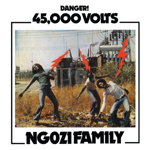 Ngozi Family的專輯45,000 Volts