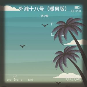 Listen to 外滩十八号 (cover: 袁成杰|戚薇) (完整版) song with lyrics from 苏小鱼