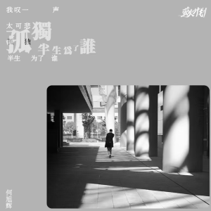 收聽禾旭徽的孤獨半生爲了誰歌詞歌曲