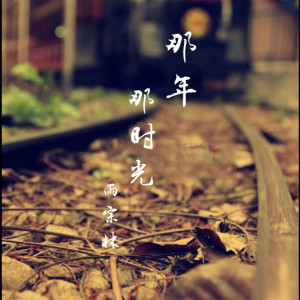 收聽雨宗林的那年那時光歌詞歌曲