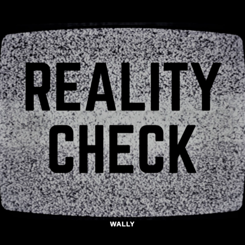 Reality Check (Explicit)