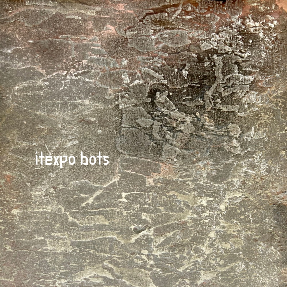Itexpo Bots