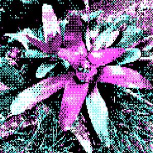 Listen to Frysant song with lyrics from Los Pat Moritas